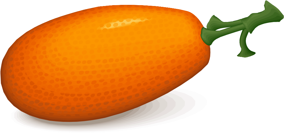 Vibrant Orange Persimmon Fruit Illustration PNG