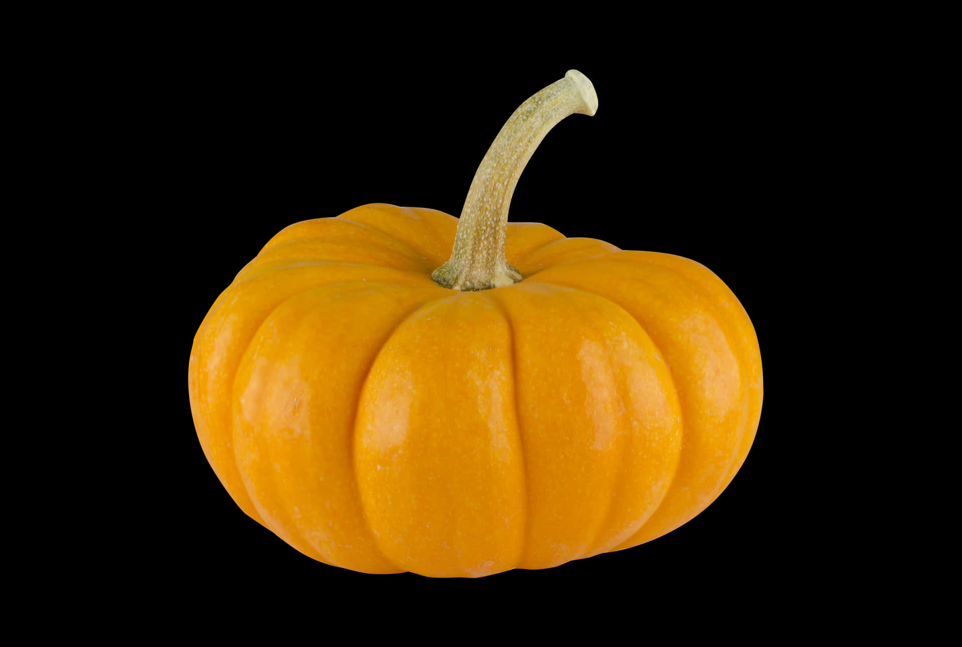 Vibrant Orange Pumpkin Black Background PNG