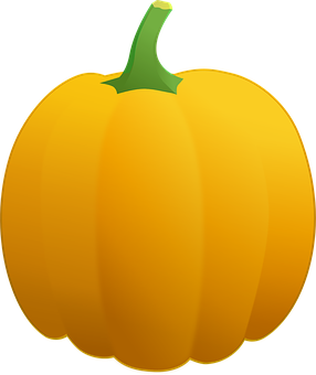 Vibrant Orange Pumpkin Illustration PNG