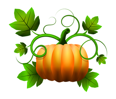 Vibrant Orange Pumpkin Illustration PNG