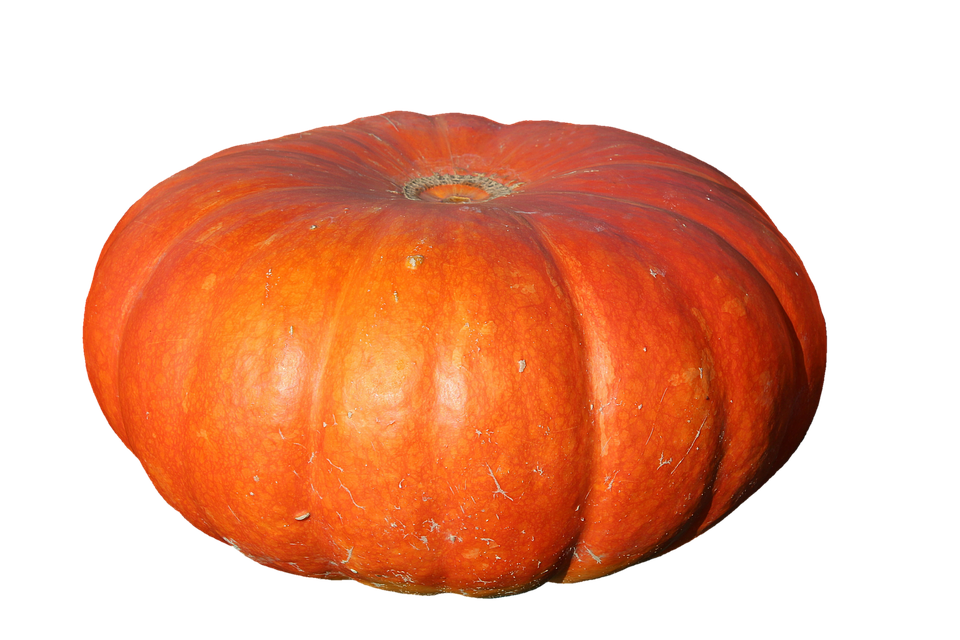 Vibrant Orange Pumpkin.png PNG