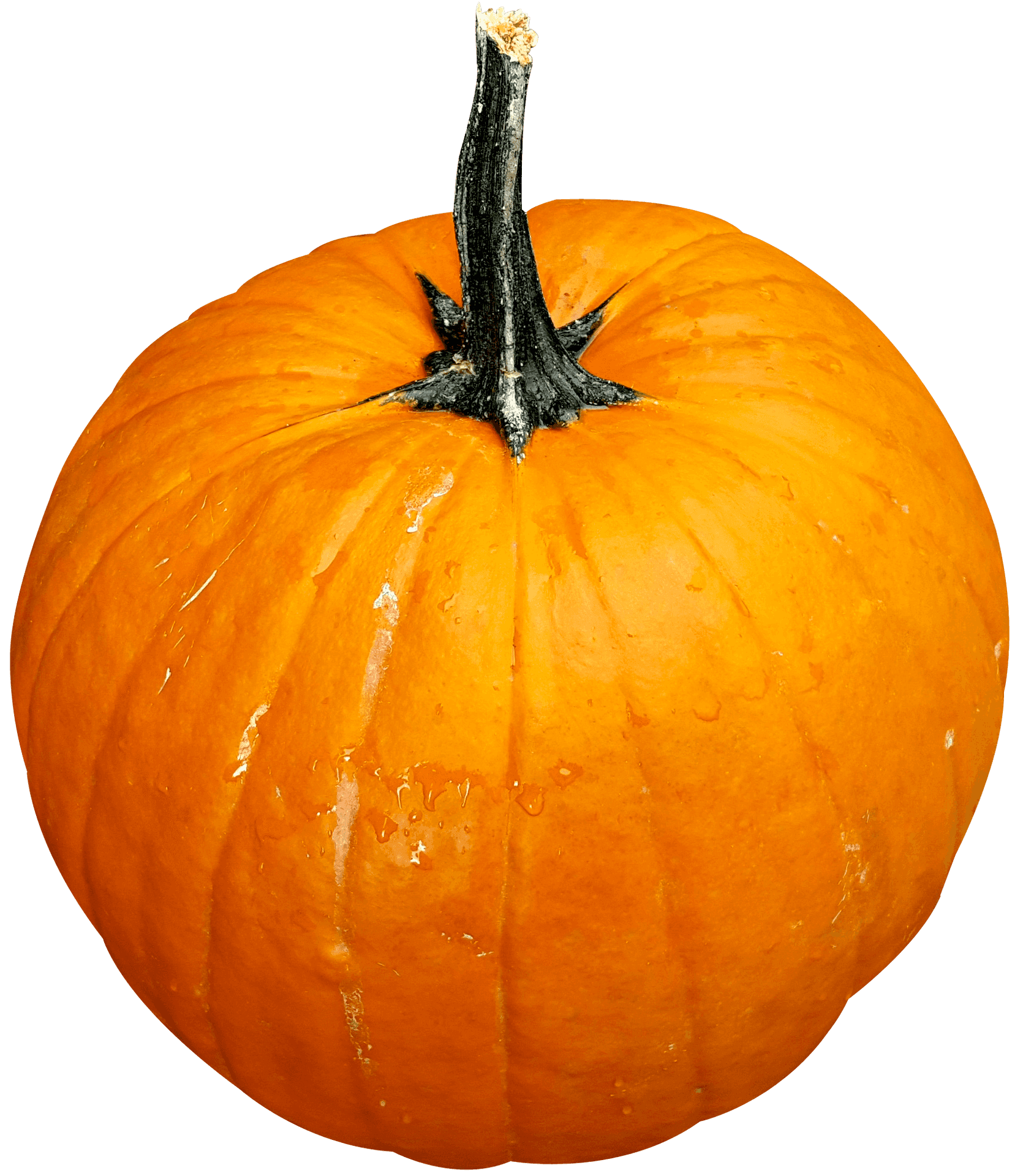 Vibrant Orange Pumpkinwith Water Droplets.png PNG