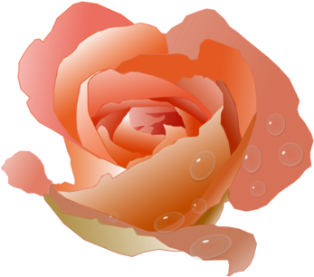 Vibrant Orange Rose Digital Artwork PNG