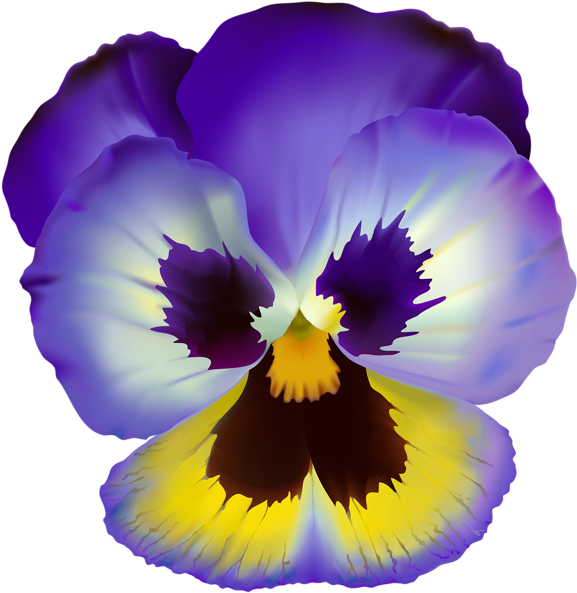 Vibrant Pansy Flower Illustration PNG