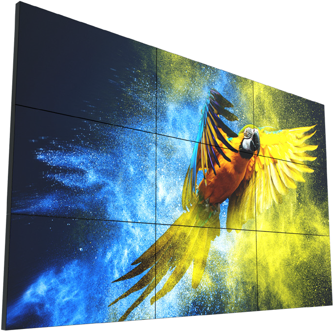 Vibrant Parrot Cosmic Wall Art PNG
