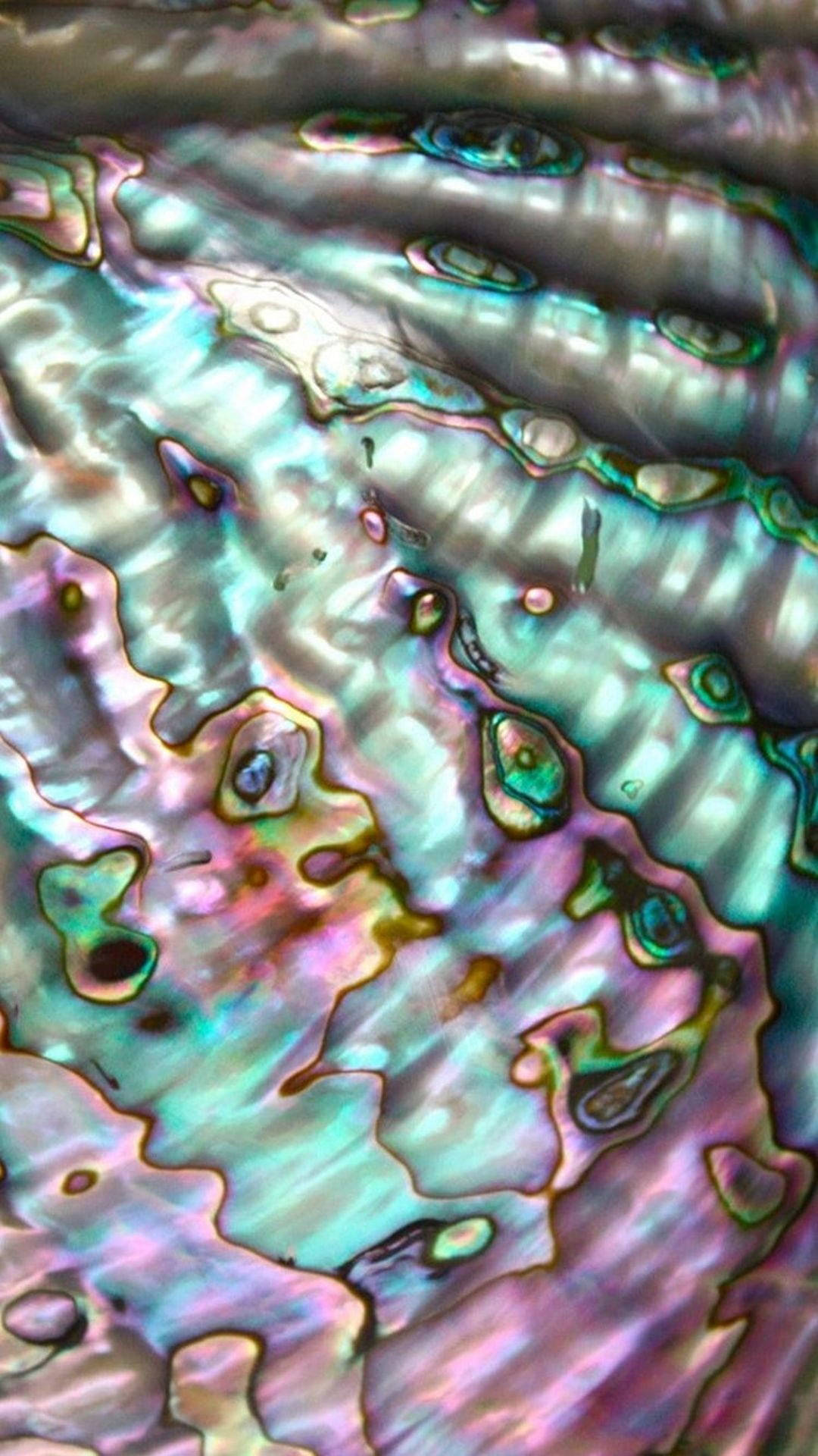 Lebhaftespastell-abalone-muschelmuster Wallpaper