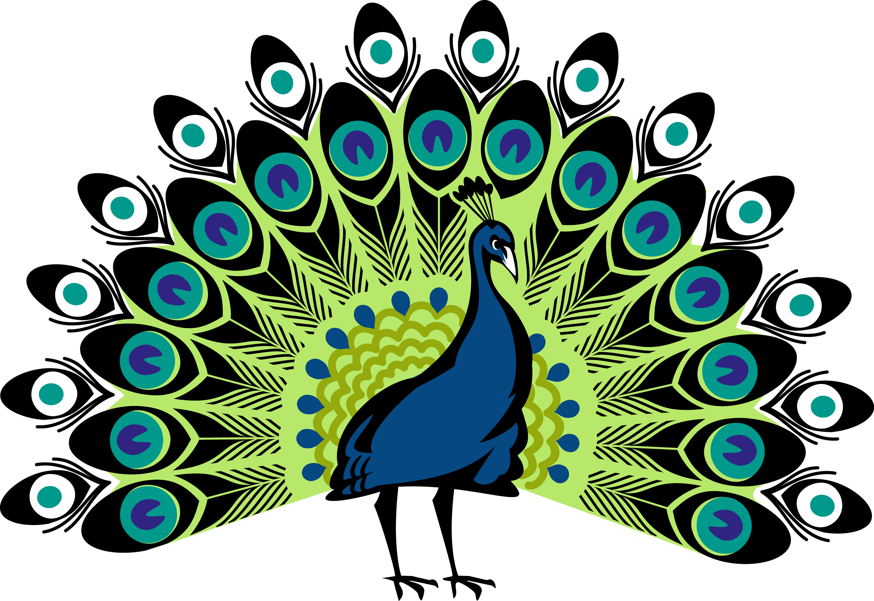 Vibrant Peacock Display Illustration PNG