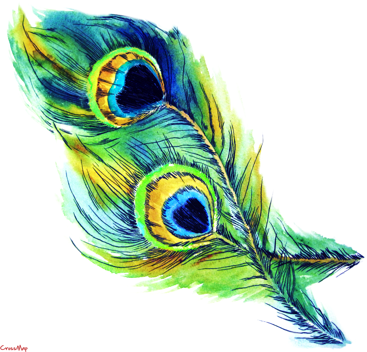 Vibrant Peacock Feather Artwork PNG