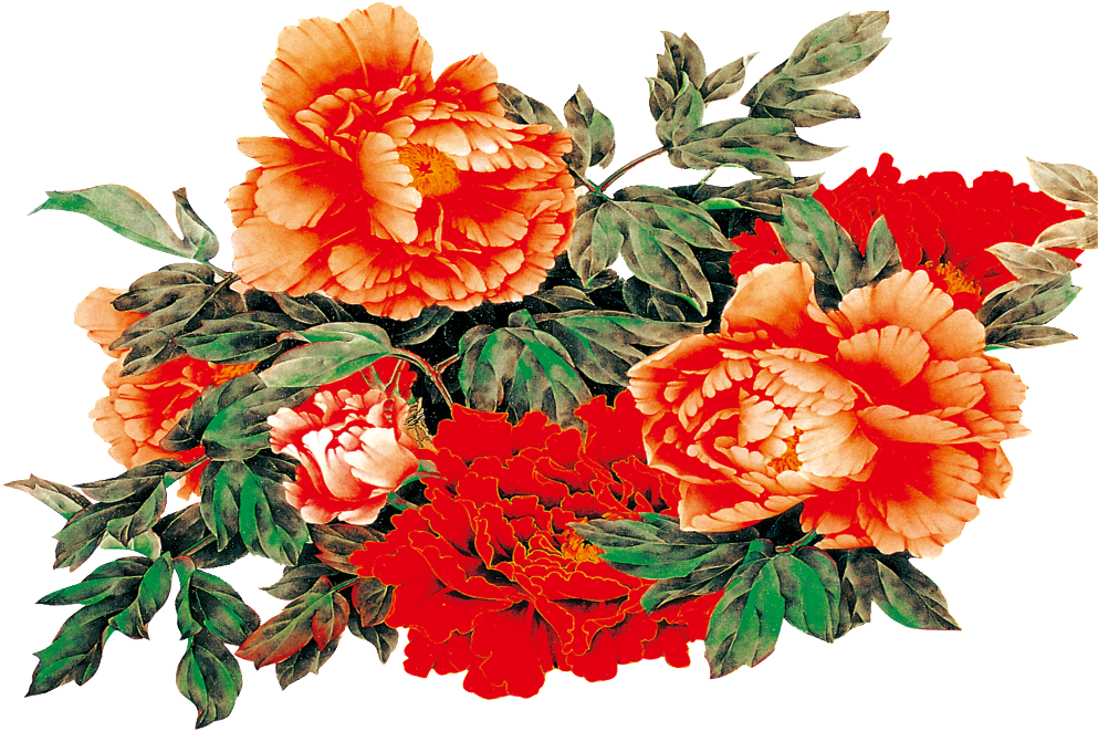 Vibrant Peony Bouquet.png PNG