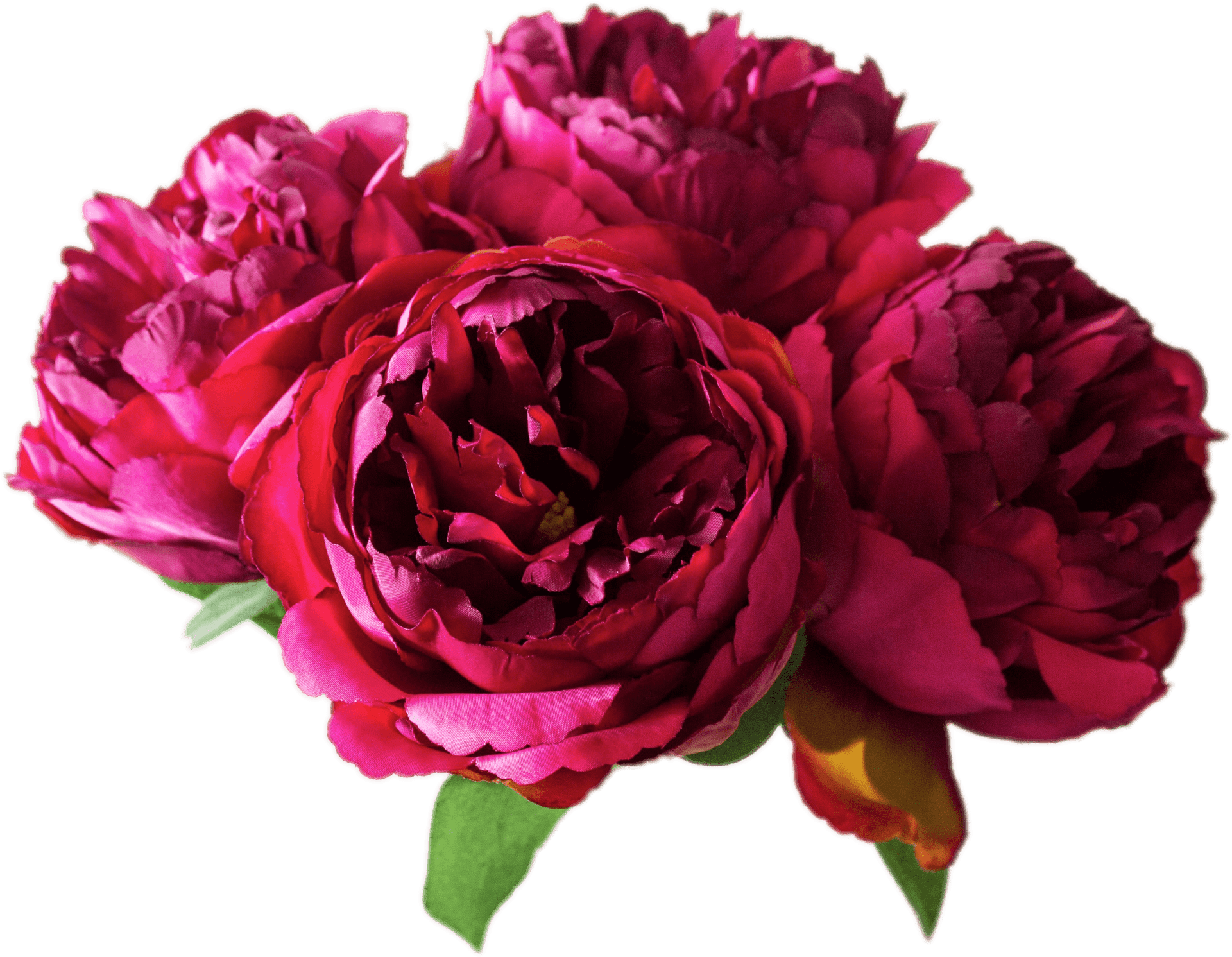 Vibrant Peony Bouquet.png PNG