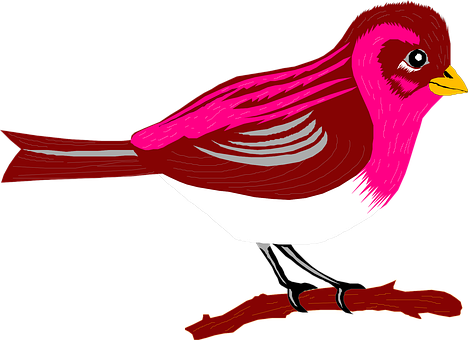 Vibrant Pink Bird Illustration PNG