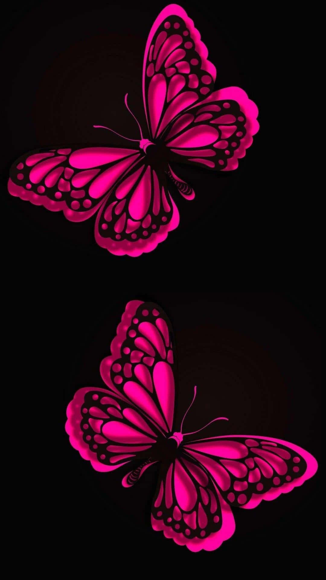 Vibrant Pink Butterflieson Black Wallpaper