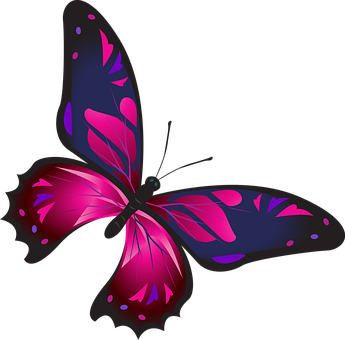 Download Vibrant Pink Butterfly Graphic | Wallpapers.com