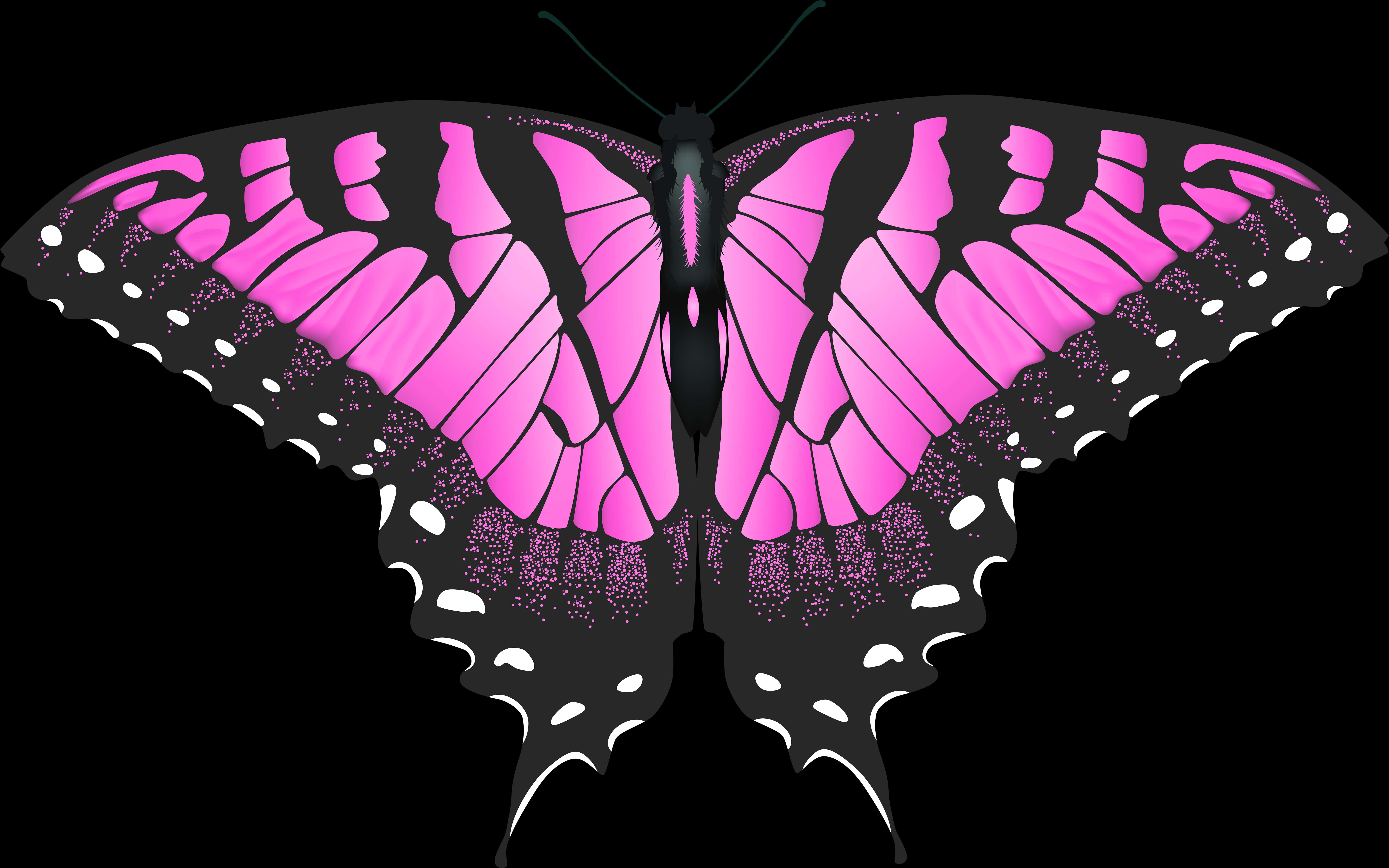 Vibrant Pink Butterfly Illustration PNG