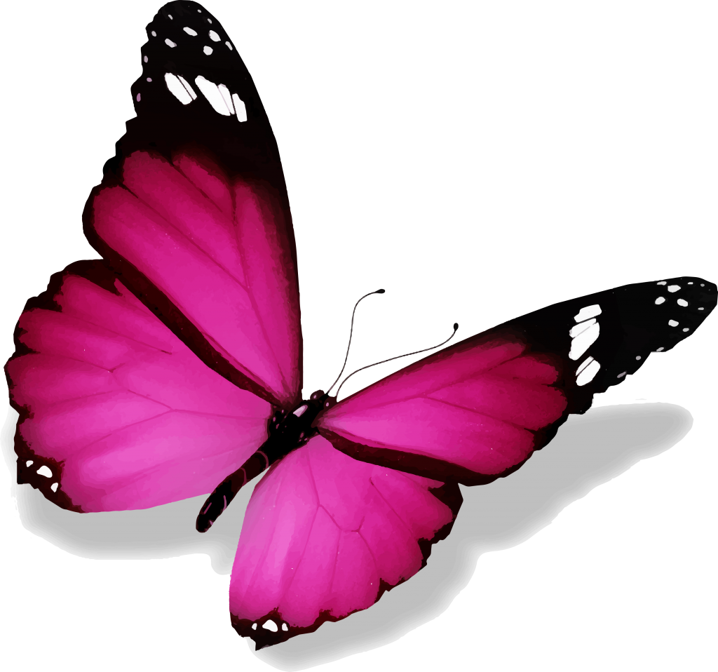 Vibrant Pink Butterfly Illustration PNG