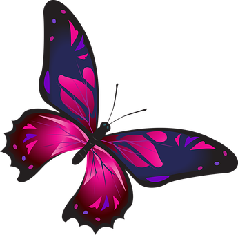 Vibrant Pink Butterfly Vector PNG