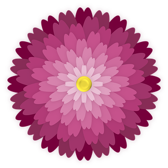 Vibrant Pink Dahlia Vector PNG