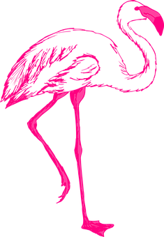 Vibrant Pink Flamingo Silhouette PNG