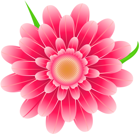 Vibrant Pink Floral Graphic PNG