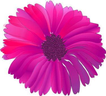 Vibrant_ Pink_ Flower_ Illustration PNG