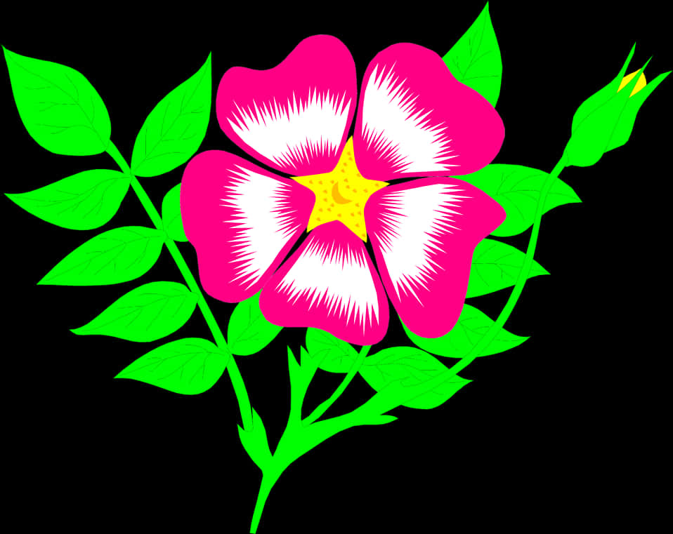 Vibrant Pink Flower Illustration PNG