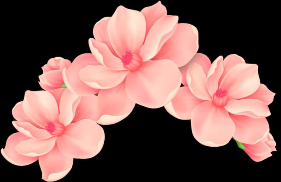 Download Vibrant Pink Flowers Black Background 