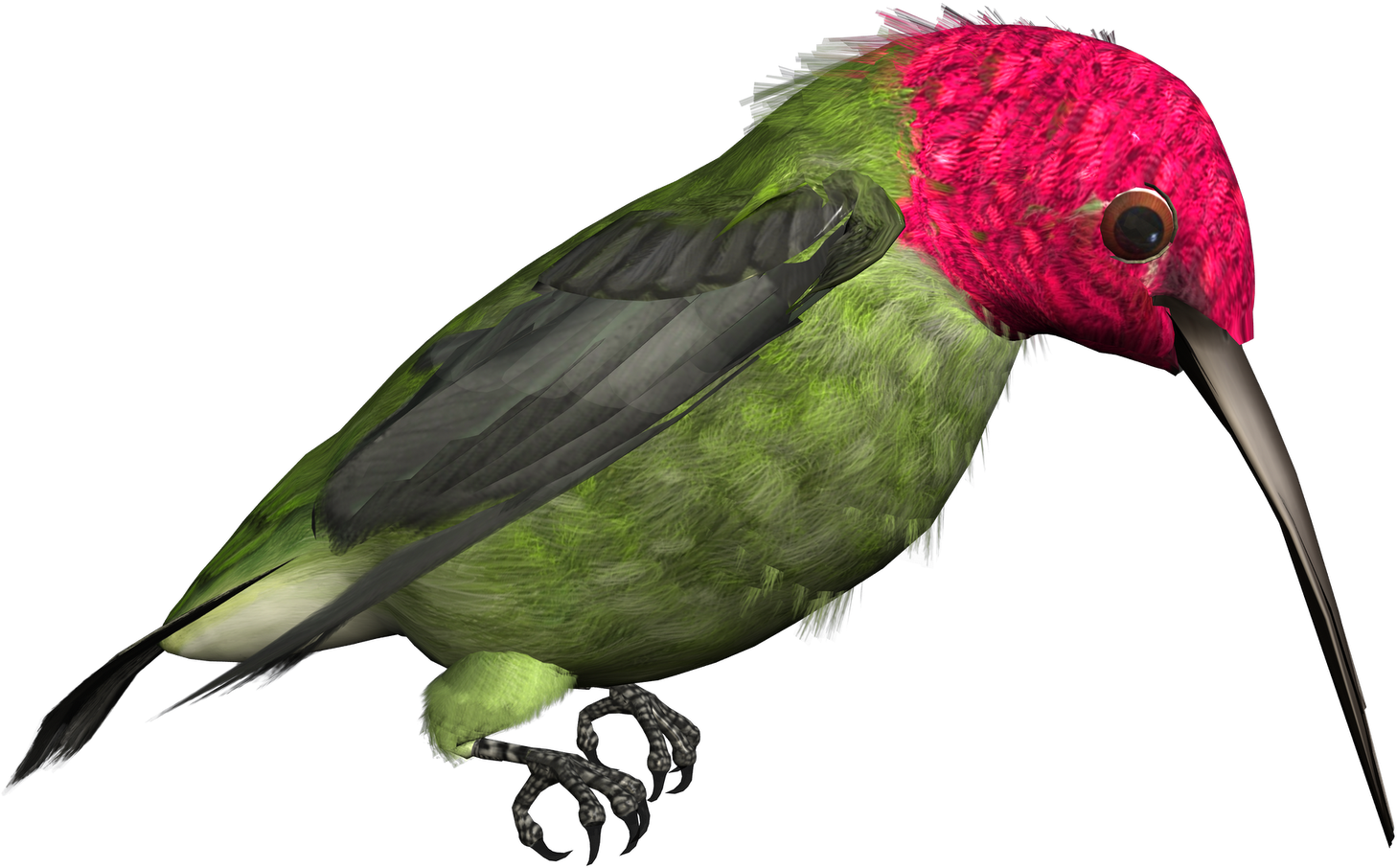 Vibrant Pink Headed Hummingbird Illustration PNG