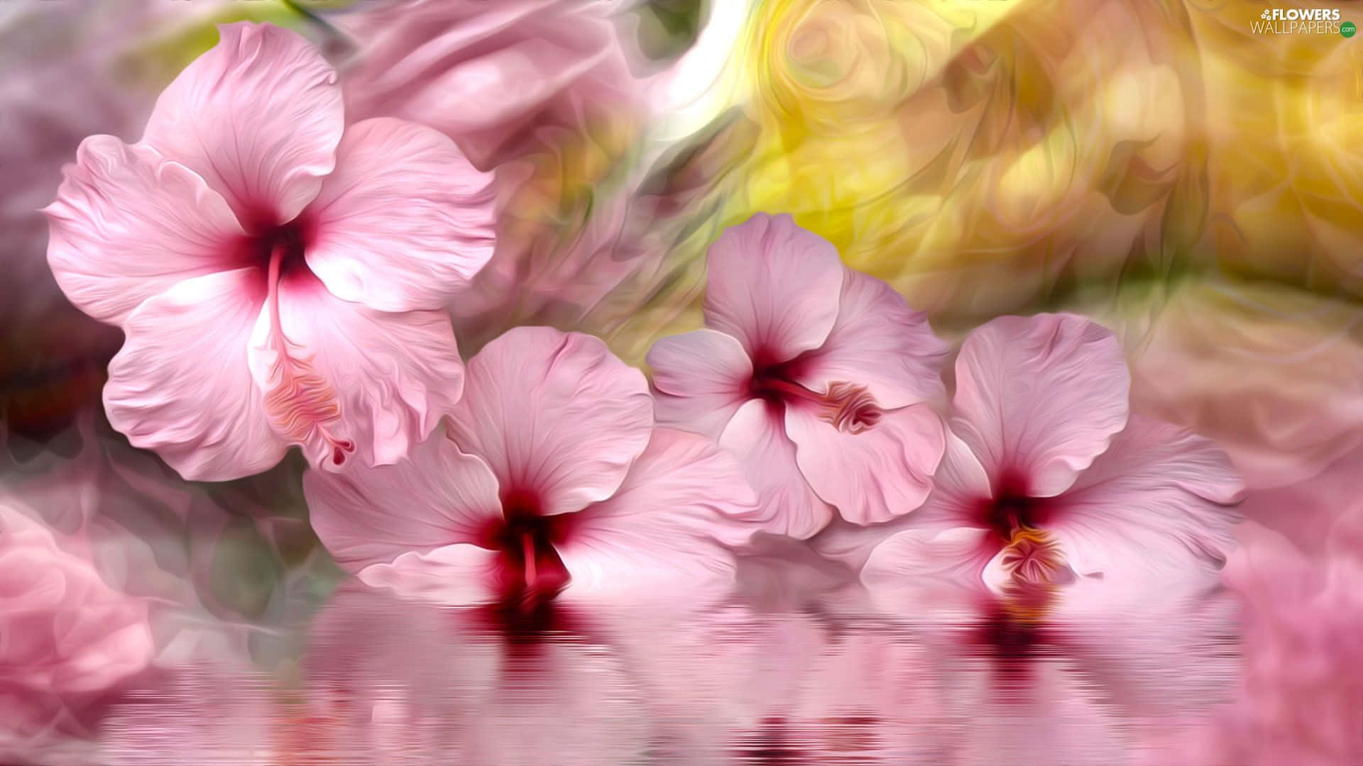 Vibrant Pink Hibiscus Flower Background