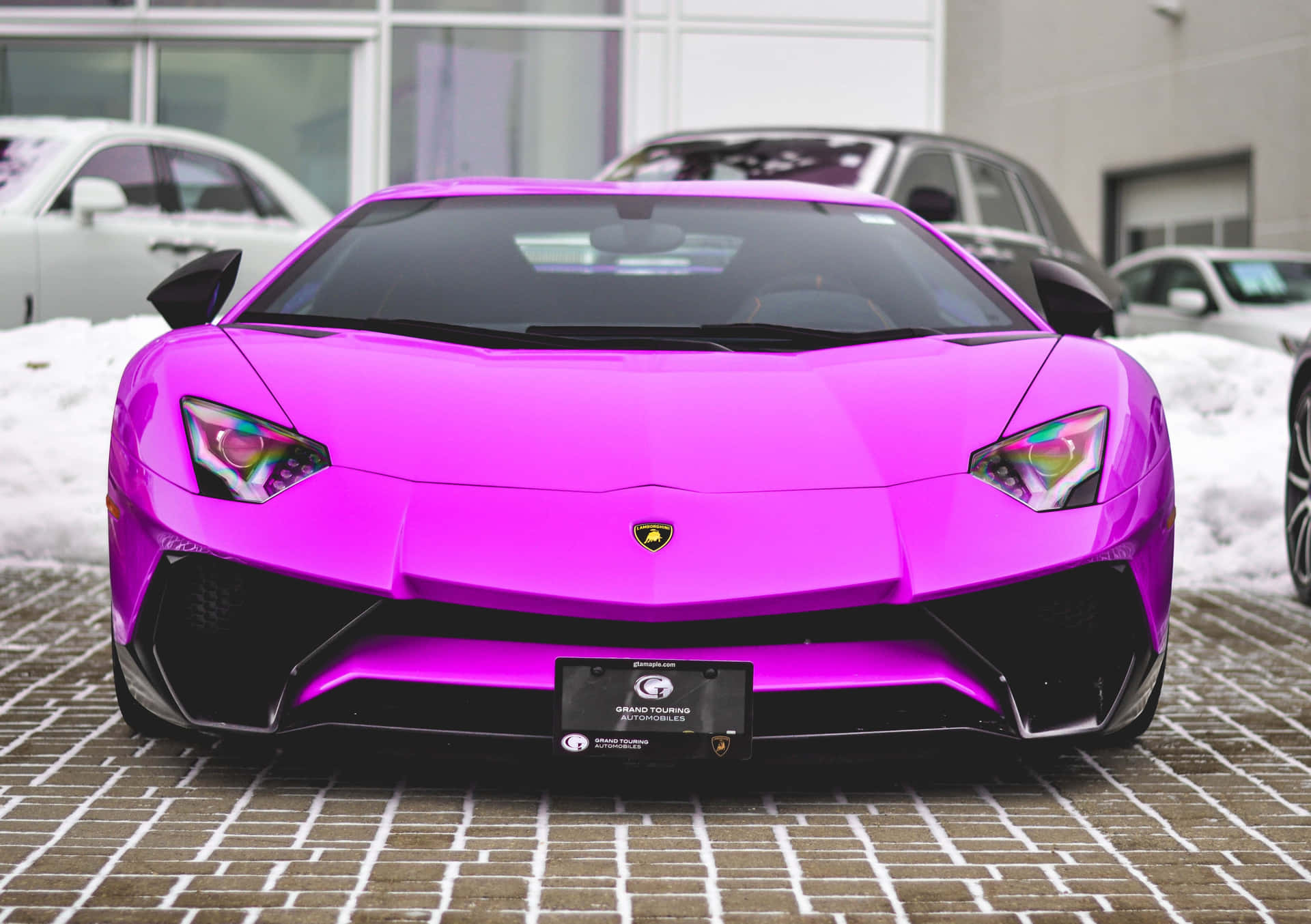 Vibrant Pink Lamborghini Aventador Front View Wallpaper