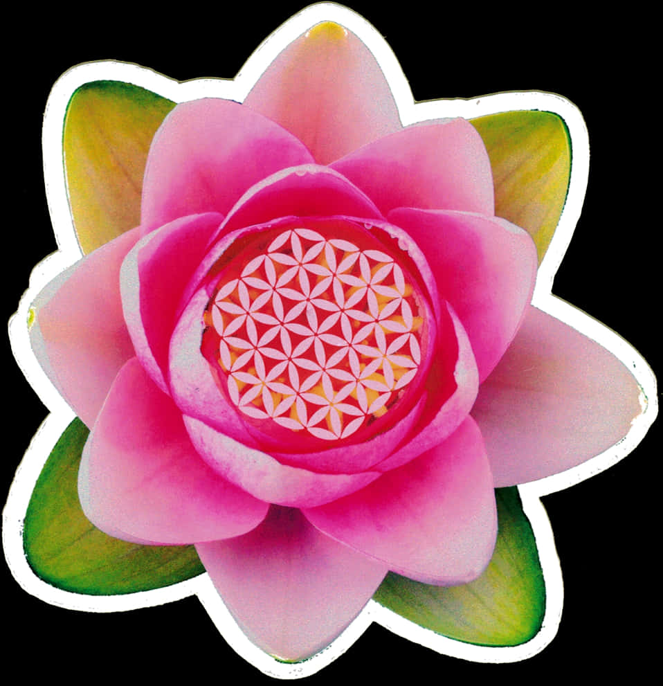 Vibrant Pink Lotus Flower Sticker PNG