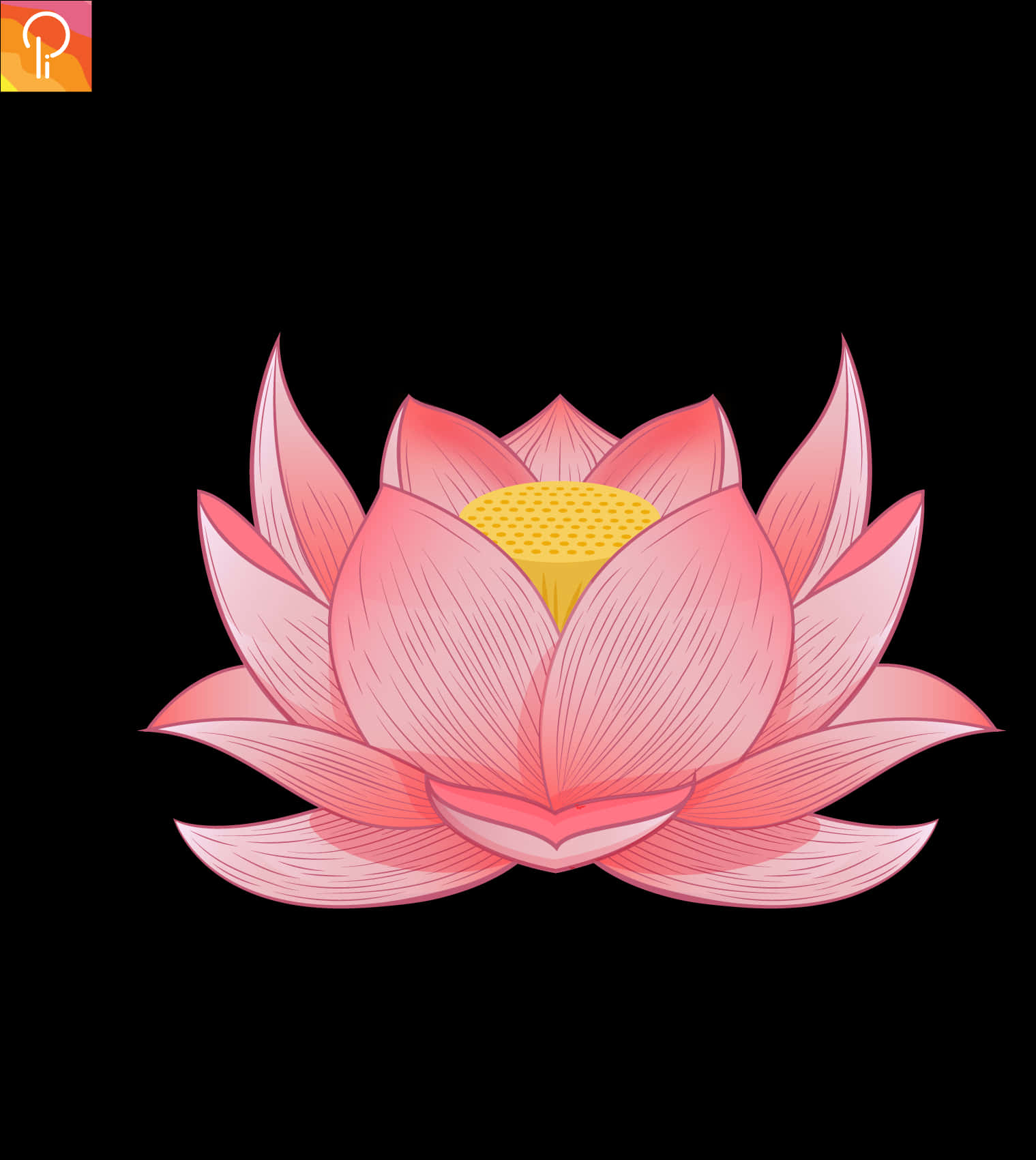 Vibrant Pink Lotus Illustration PNG