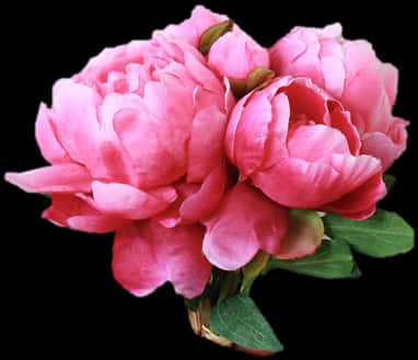 Vibrant Pink Peonies Bouquet PNG