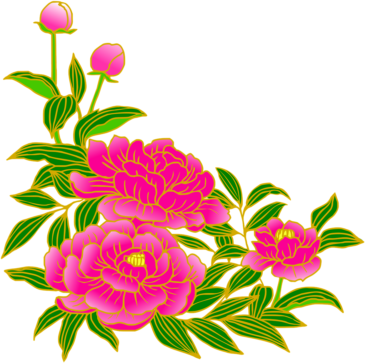 Vibrant Pink Peonies Clipart PNG