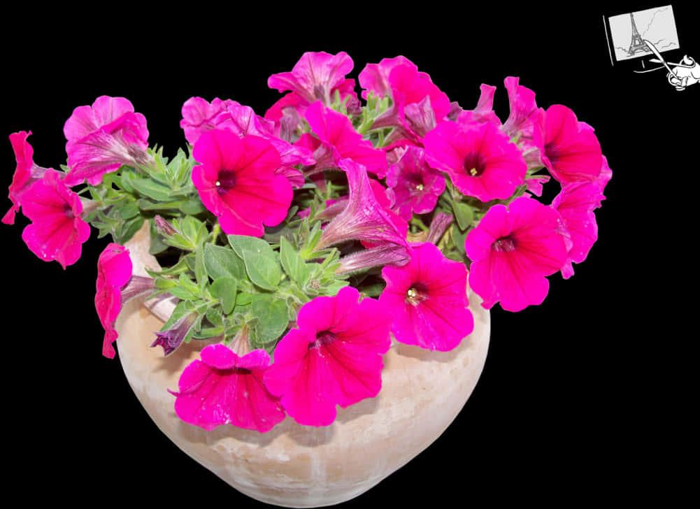 Vibrant Pink Petuniasin Flower Pot PNG