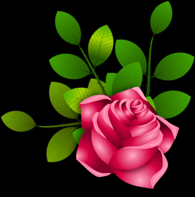 Vibrant Pink Rose Black Background PNG