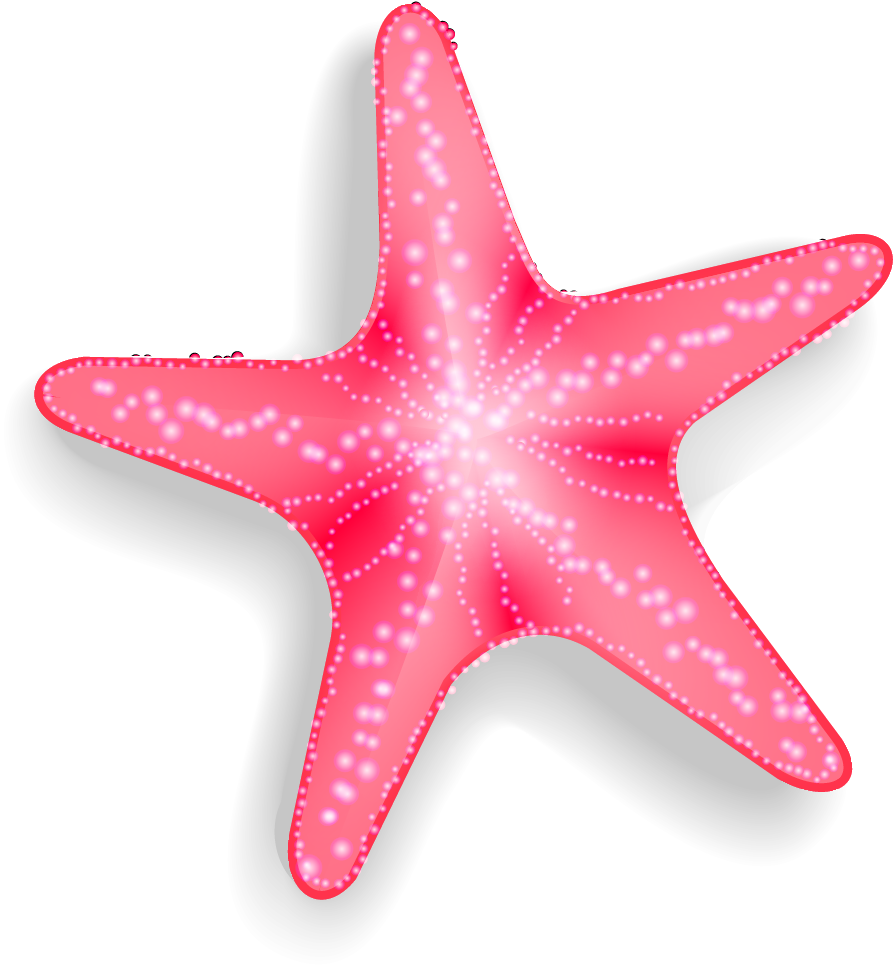 Vibrant Pink Starfish Clipart PNG