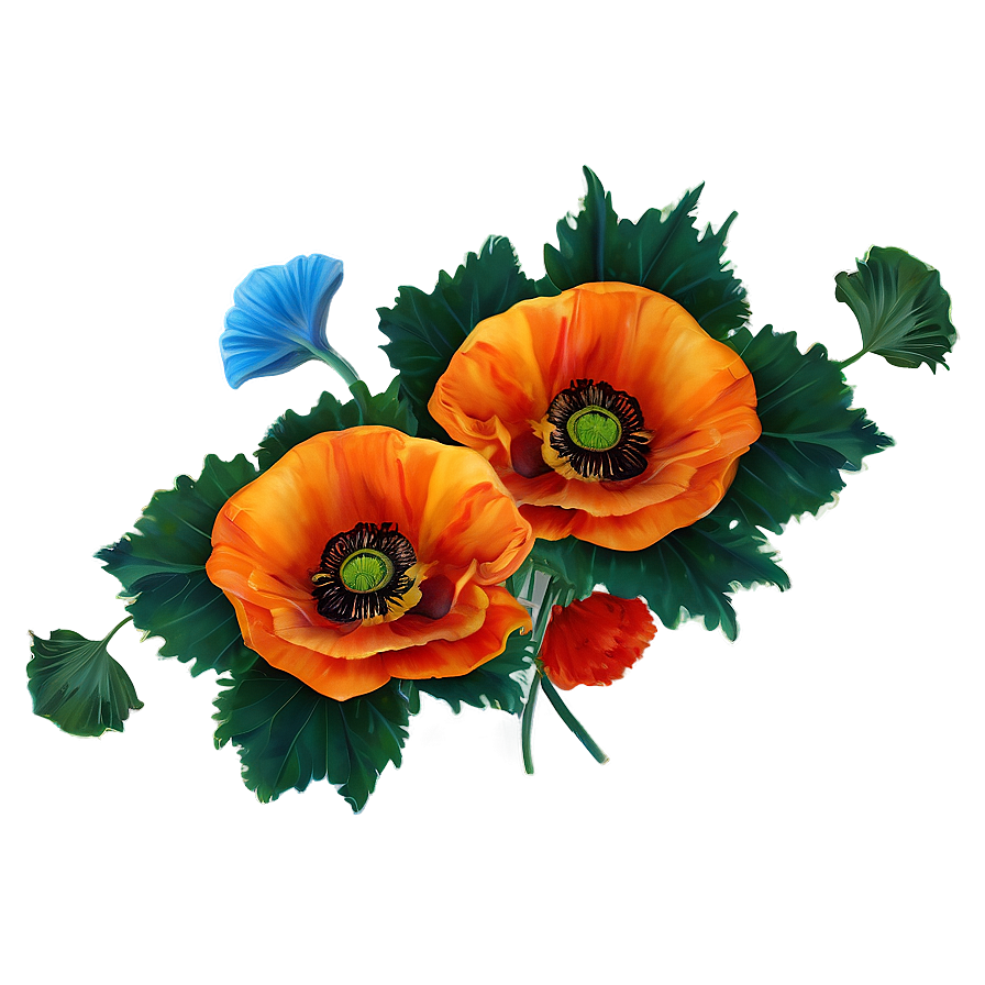Vibrant Poppies Png Mwc PNG