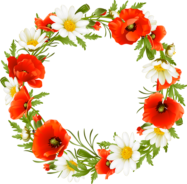 Vibrant_ Poppy_and_ Daisy_ Wreath.png PNG