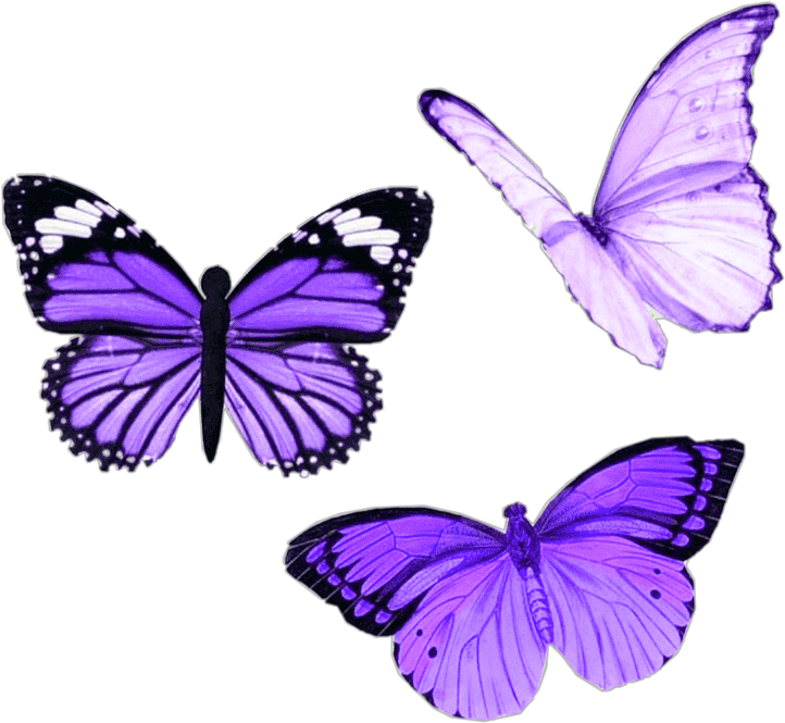 Vibrant Purple Butterflies PNG