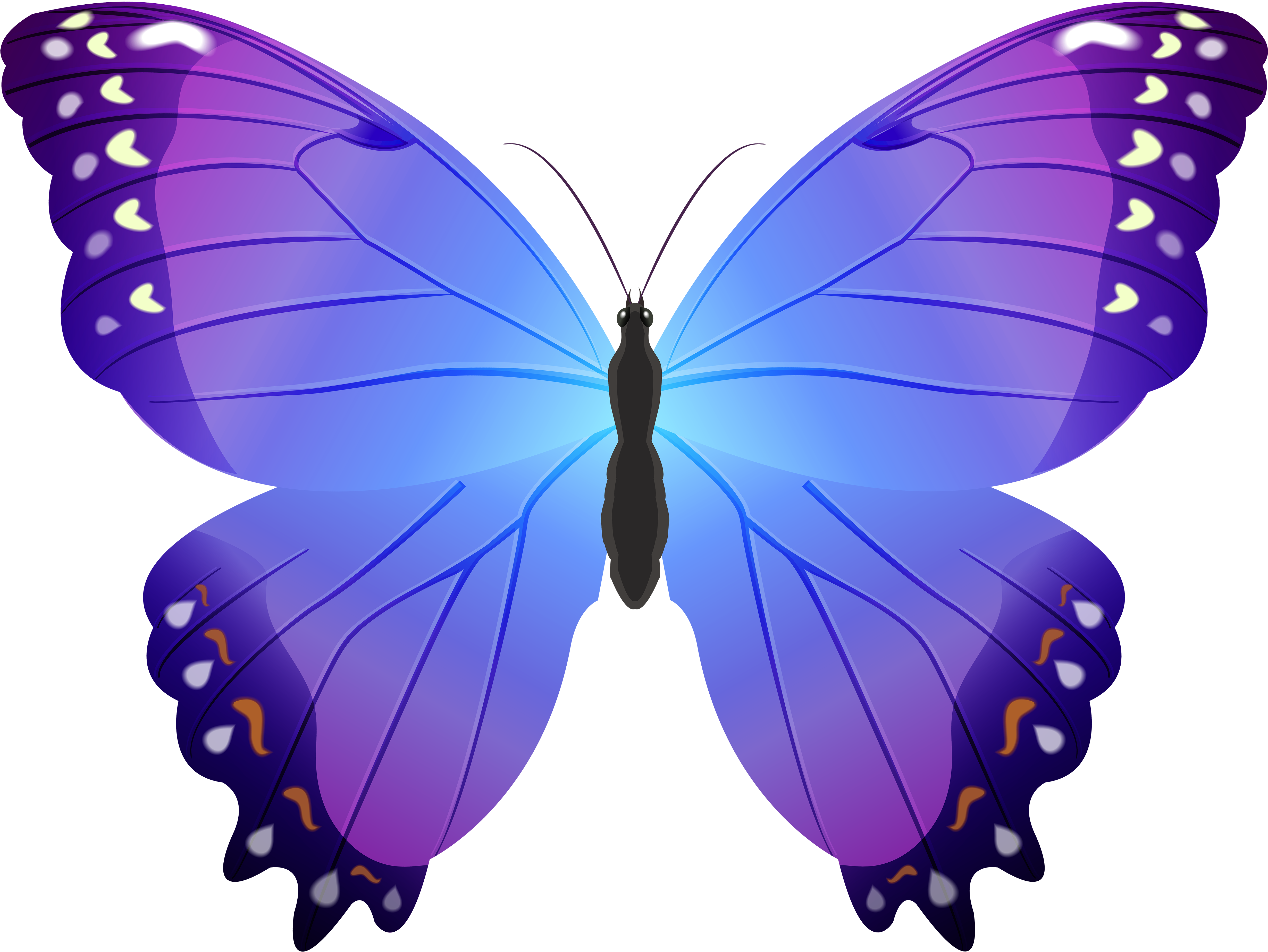 Vibrant Purple Butterfly Illustration PNG