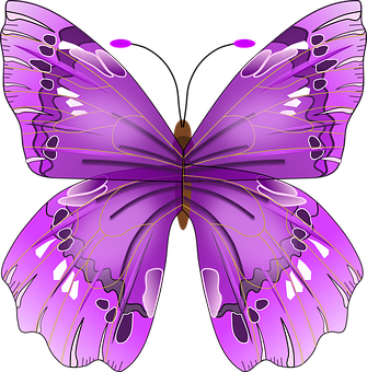 Vibrant Purple Butterfly Illustration PNG