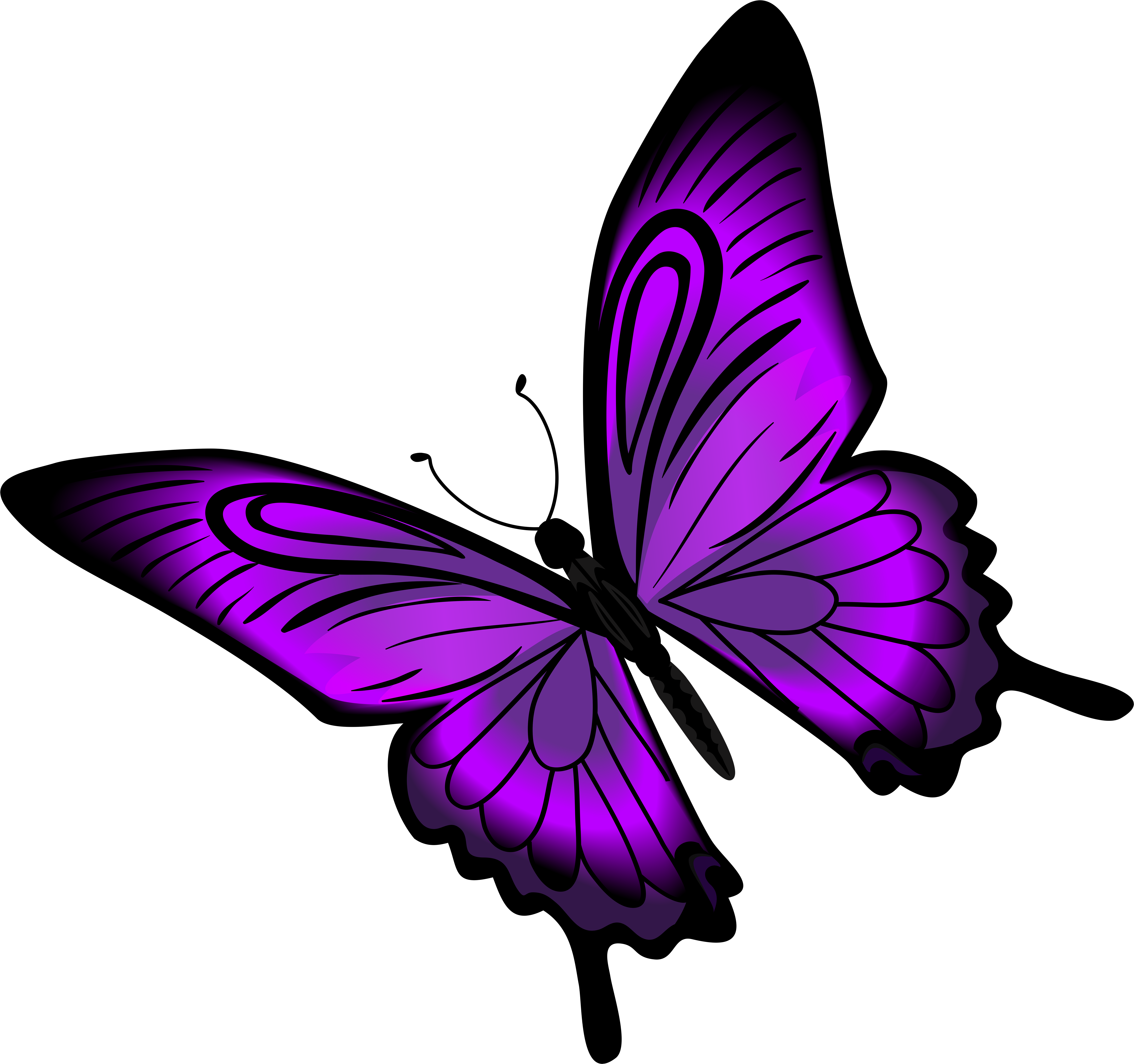 Vibrant Purple Butterfly Illustration PNG