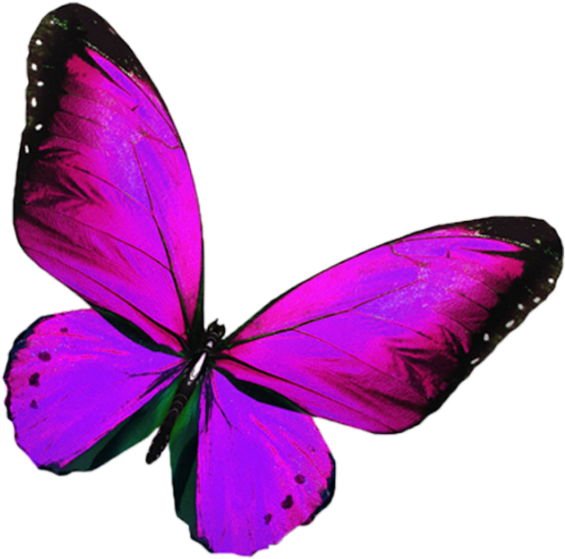 Vibrant Purple Butterfly Sticker PNG