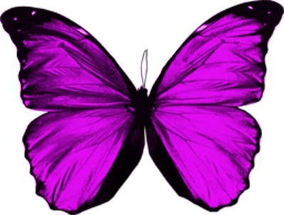 Vibrant Purple Butterfly PNG