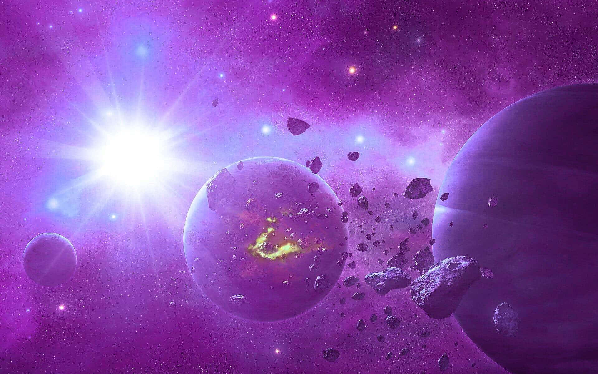 Vibrant Purple Cosmos Wallpaper