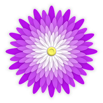 Vibrant Purple Daisy Illustration PNG