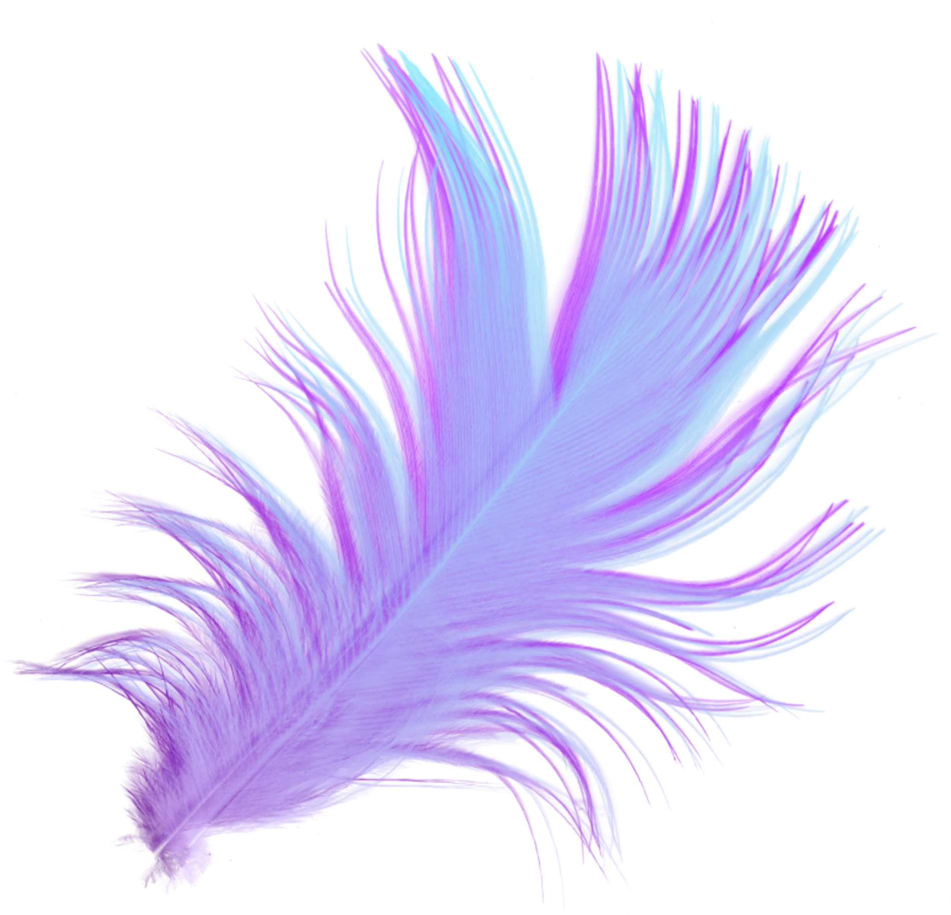 Vibrant Purple Feather Art PNG