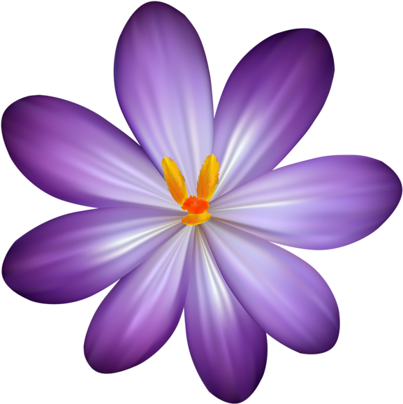 Vibrant Purple Flower Illustration PNG