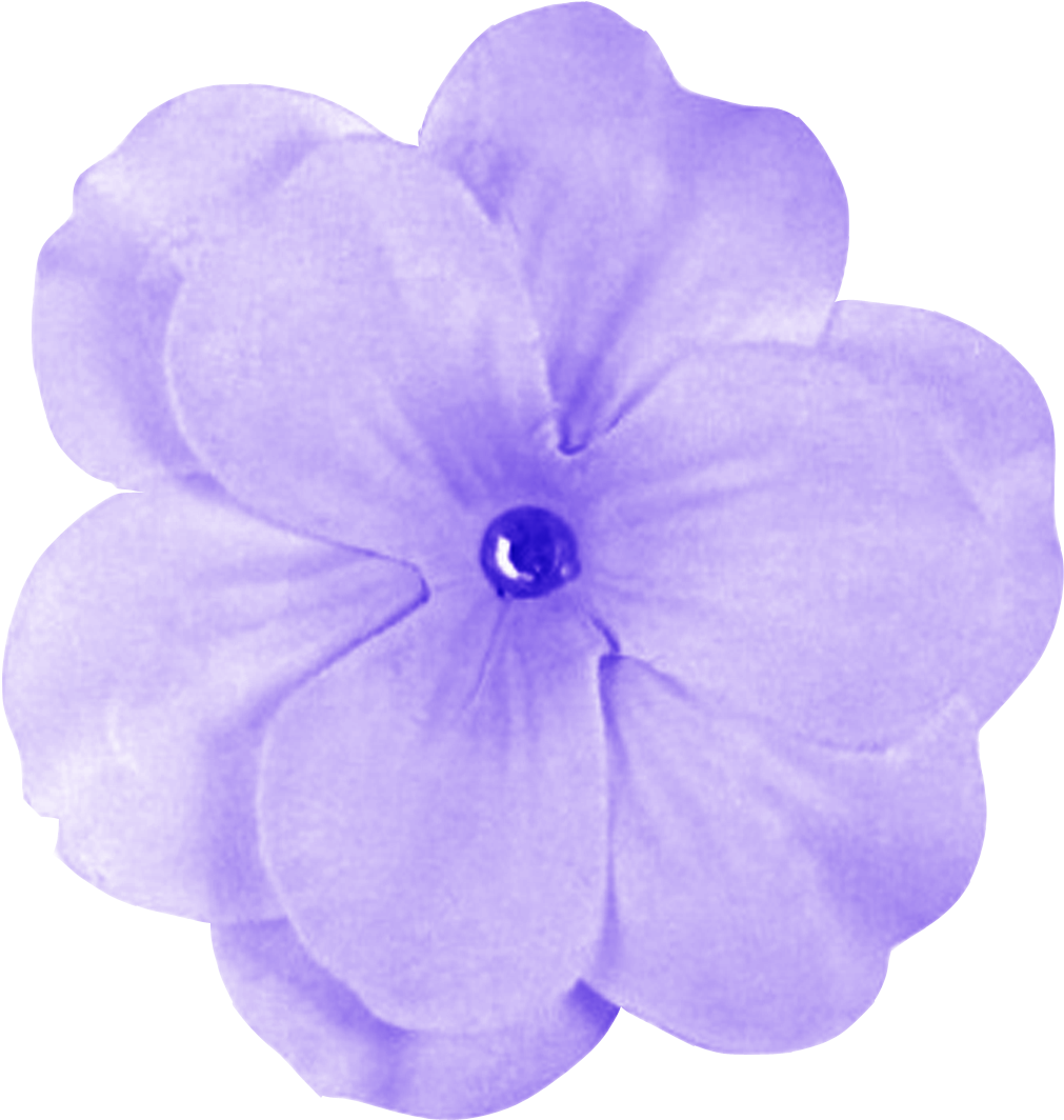 Vibrant Purple Flower Isolated PNG