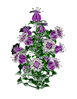 Vibrant Purple Flowers Artwork PNG